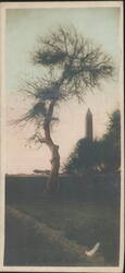 The Obelisk, Monument of Sun, Heliopolis, Cairo, Egypt Postcard