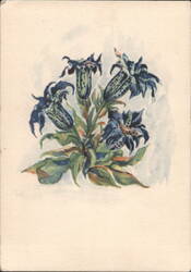 Dark Blue Spotted Gentian Flowers, Srdečné přání Postcard