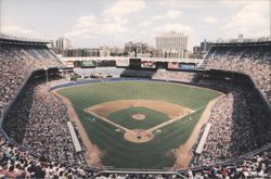 Yankee Stadium Baseball Field View, Bronx, NY Postcard