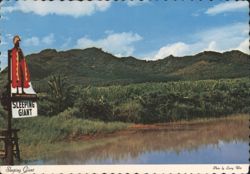 Sleeping Giant Mountain Ridge near Kapaa, Kauai Postcard