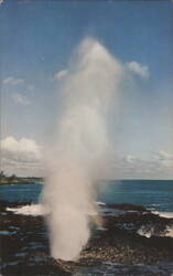 SPOUTING HORN - Kauai's Famed Sea-Water Geyser Postcard