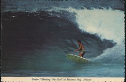 Surfer "Shooting The Curl" at Waimea Bay Postcard