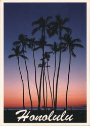 Silhouettes of Palm Trees at Sunset, Waikiki Beach Postcard