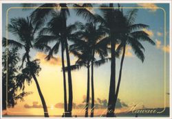 Hawaiian Sunset Skies, Palm Tree Silhouettes Postcard