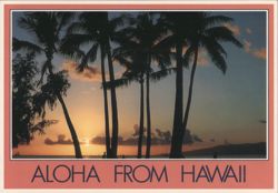 Palm Trees Sunset Silhouette, Aloha From Hawaii Postcard