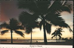 Palm Trees Silhouetted Against Sunset in Hawaii Postcard