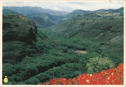 Hanapepe Valley Overlook, Route 50, 500 Inches Rain Postcard