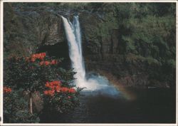 Rainbow Falls, Hilo, Island of Hawaii, Rainbow and Flowers Postcard
