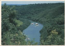 Wailua River, Kauai, Tour Boats in Lush Rain Forest Postcard