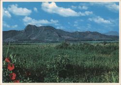 Sleeping Giant Mountain near Kapaa, Kauai, Hawaii Postcard
