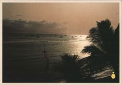 Sunset in Lahaina, Maui - Palm Silhouette & Sailboats Postcard