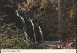 Beautiful Hawaiian Waterfalls on the Hana Highway, Maui Postcard
