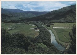 Hanalei Valley, Kauai, Lush Tropical Fields and River View Postcard