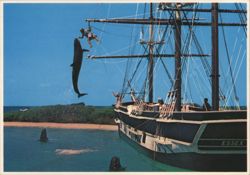 Whale Leaping with Performer near Ship Essex, Makapuu, Oahu Postcard