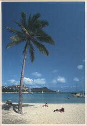 Palm Tree on Beach, Diamond Head View, Waikiki, HI Postcard