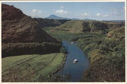 Wailua River Boat Trip to Famed Fern Grotto, Kauai, HI Postcard