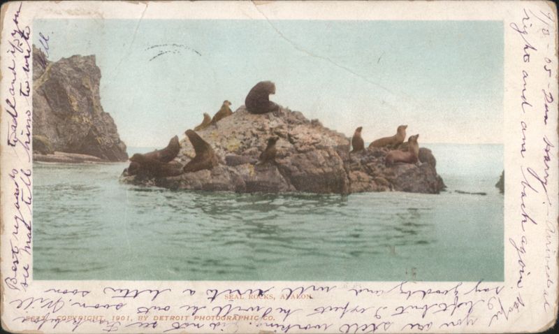 Seal Rocks, Avalon California