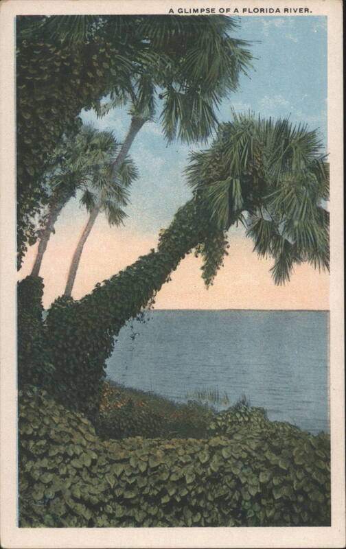 A Glimpse of a Florida River Palatka