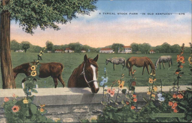 A Typical Stock Farm in Old Kentucky with Horses Caufield & Shook