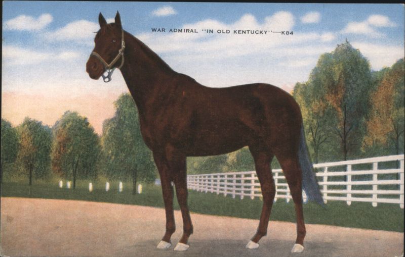 War Admiral 'In Old Kentucky' Champion Racehorse Horses