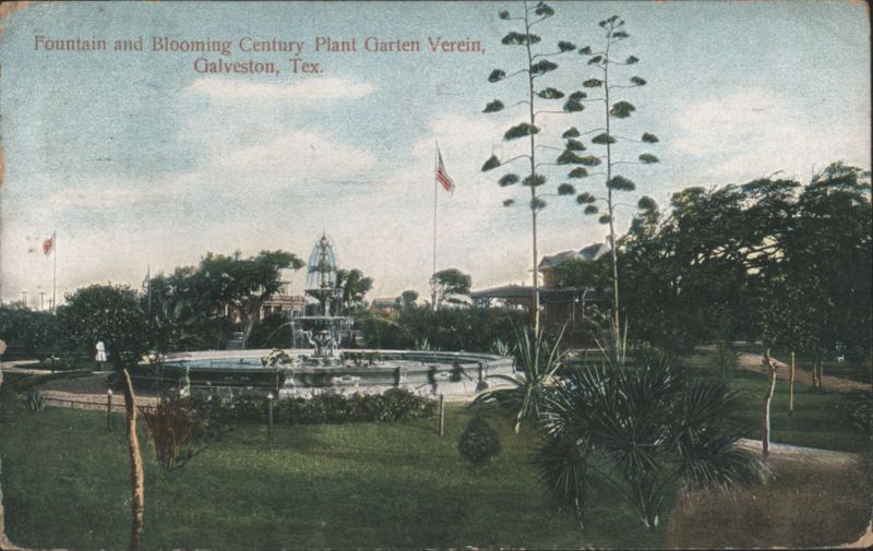 Fountain & Blooming Century Plant Garten Verein Galveston Texas