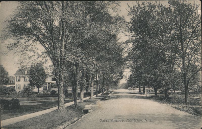 Gates Avenue, Montclair, NJ - Tree-lined residential street New Jersey