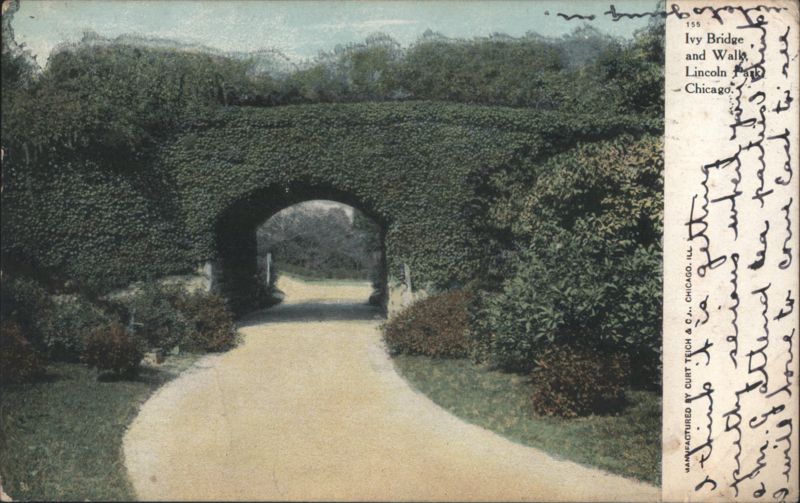 Ivy Bridge and Walls, Lincoln Park Chicago Illinois