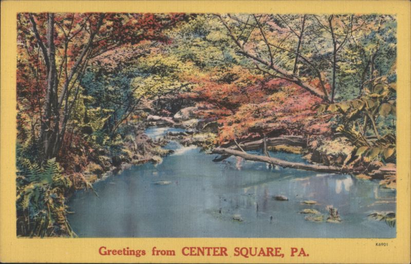 Autumn Forest Stream, Colorful Fall Foliage Center Square Pennsylvania