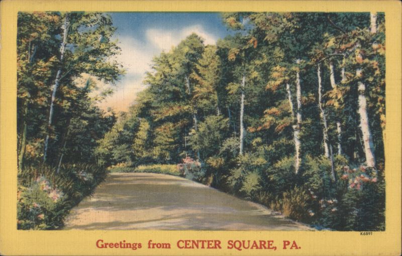Winding Road through Forest - Center Square, PA Pennsylvania