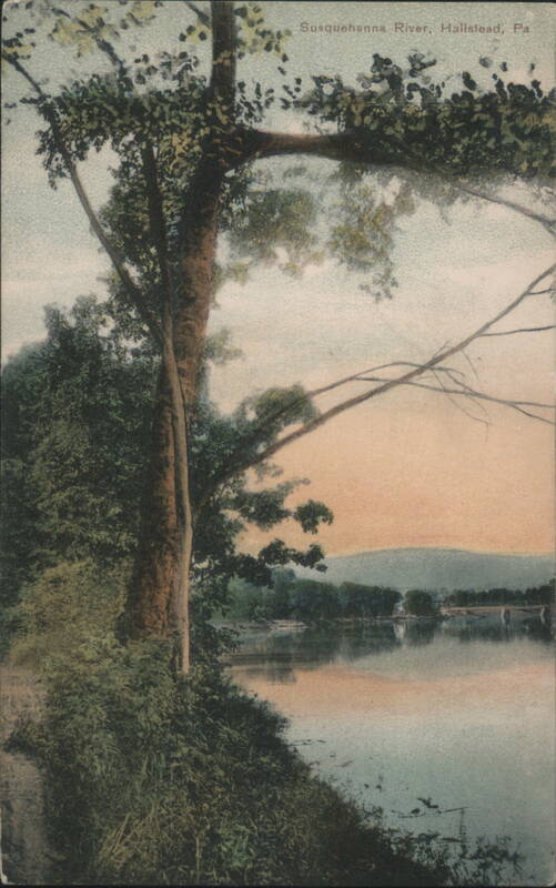Susquehanna River, Hallstead, PA - Tree Framed View Pennsylvania