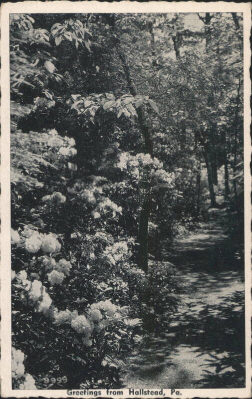 Mountain Laurel Path, Hallstead, PA Pennsylvania