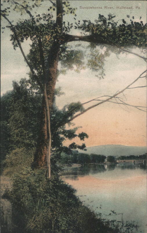 Susquehanna River, Hallstead, PA - Trees & Sunset View Pennsylvania
