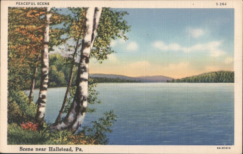 Peaceful Scene, Lake and Birch Trees, Hallstead, PA Pennsylvania