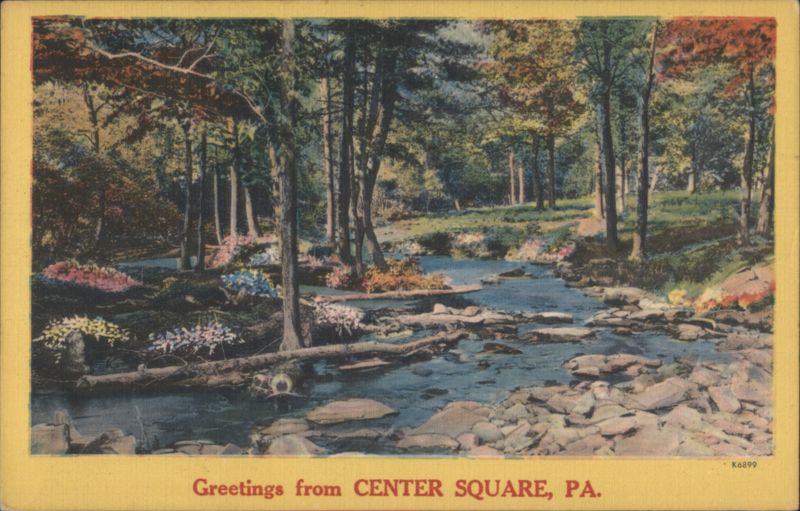 Forest Stream with Flowers Center Square Pennsylvania