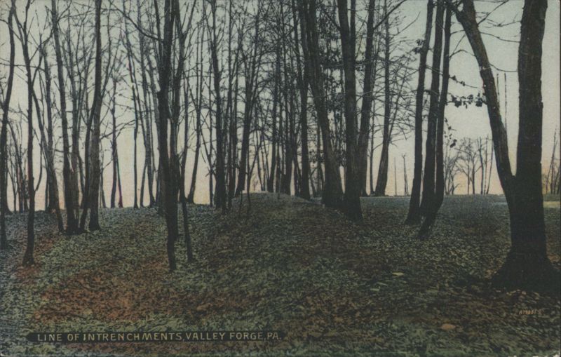 Line of Intrenchments, Valley Forge, PA Pennsylvania