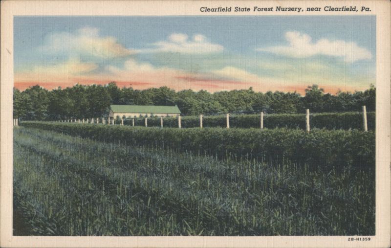 Clearfield State Forest Nursery, near Clearfield, PA Pennsylvania