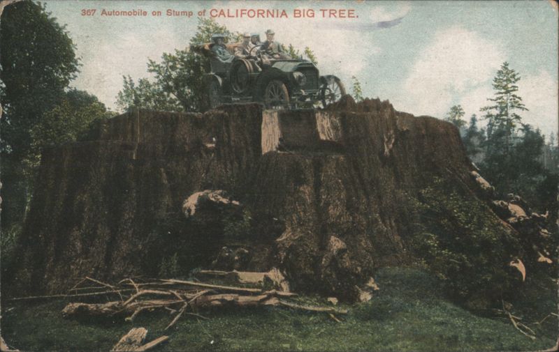Automobile on Stump of California Big Tree Waldner & Co.