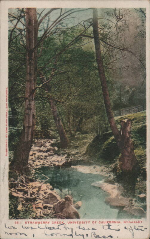 Strawberry Creek, University of California, Berkeley