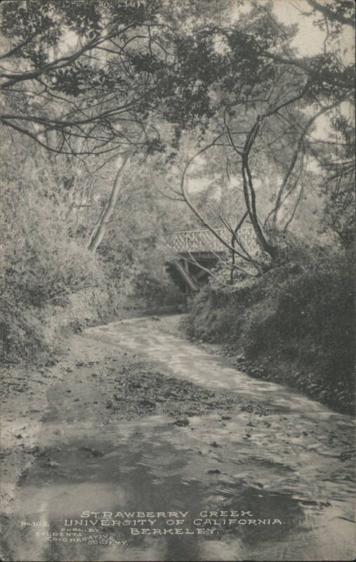 Strawberry Creek, University of California, Berkeley