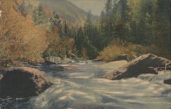 Devil's Gulch & North Fork Thompson River, Rocky Mtn NP Postcard