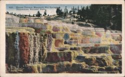 Hyman Terrace, Mammoth Hot Springs, Yellowstone National Park Postcard