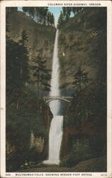 Multnomah Falls, Benson Foot Bridge, Columbia River Highway Postcard