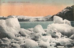 Muir Glacier and Icebergs, Alaska Postcard