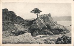 Cypress Point on Seventeen Mile-Drive Postcard