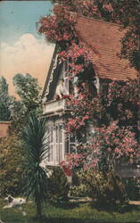 A Rose Covered Cottage with People Postcard