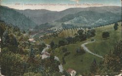 Looking up Congress Springs Canyon, Santa Clara Valley, CA Postcard