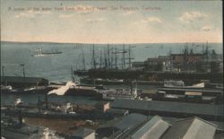 Water front from the ferry tower, San Francisco Postcard