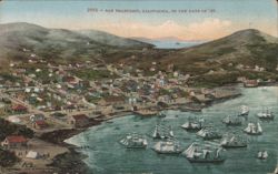 San Francisco, California, In the Days of '49 Postcard