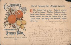 Cloverdale CA Fifteenth Annual Citrus Fair Postcard