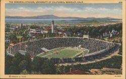 The Memorial Stadium, University of California, Berkeley Postcard